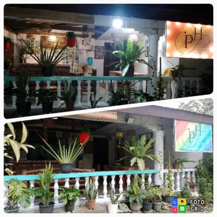 Paraiso Hostel Moalboal Εξωτερικό φωτογραφία
